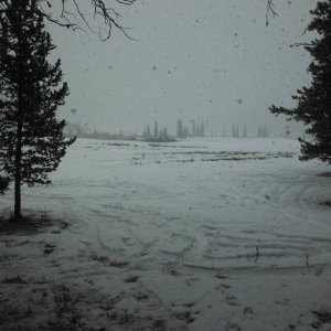 DSCF2952