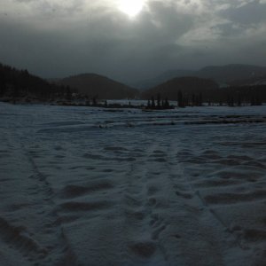 DSCF2955