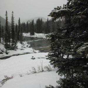 DSCF2977