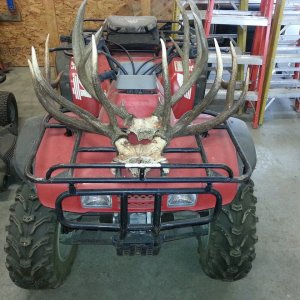 Quad