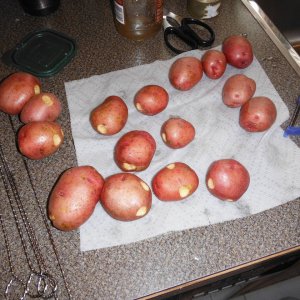 DSCF3115