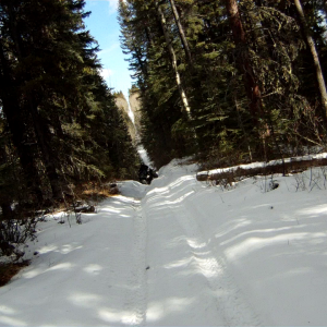 vlcsnap-2013-02-24-11h47m41s186