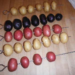 DSCF3268