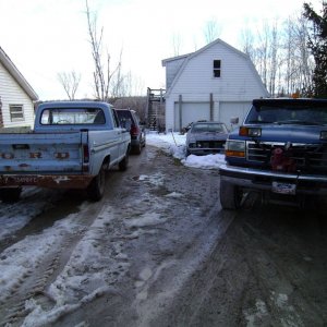 Driveway full of Fords