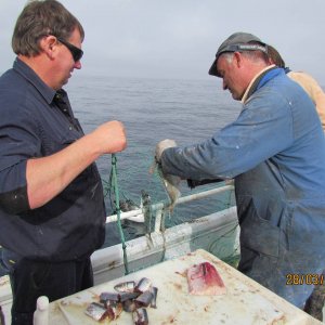 Retrieving the set net