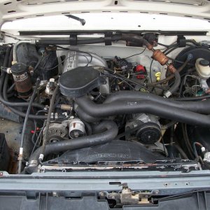 1991 F-150 Engine