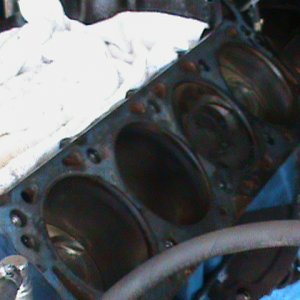Buzz_s_460_upgrade_019