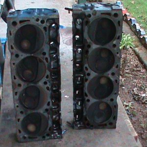 Buzz_s_460_upgrade_023