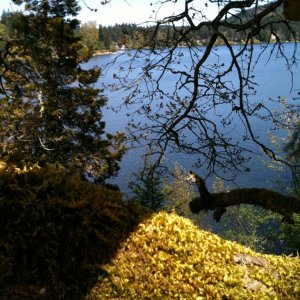 spring_pic_003