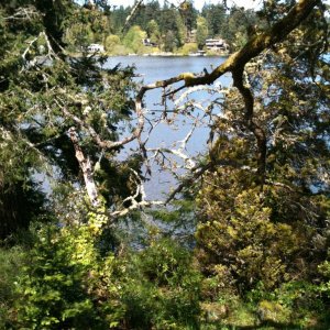 spring_pic_004