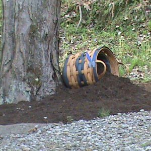 weed control 2013