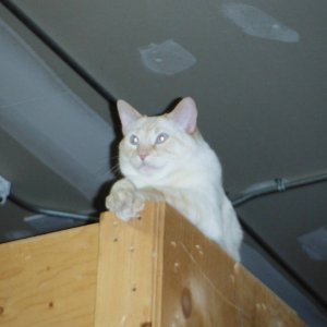 DSCF35851