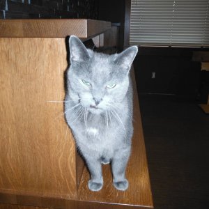 DSCF3622