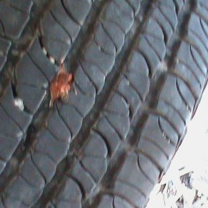 Tire plugging 101