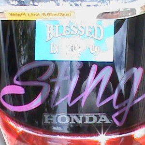 07 Honda Shadow