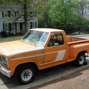 orange_tiger
