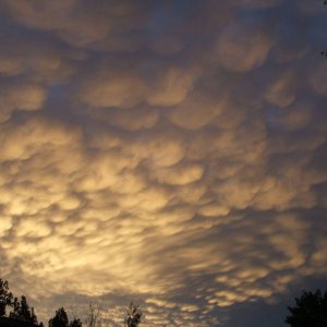DSCF25951