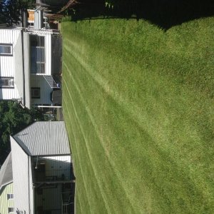 image18
