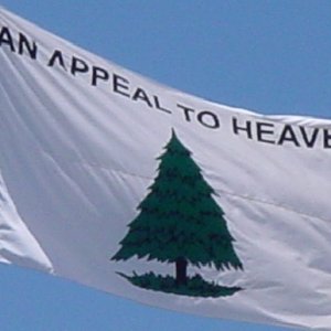 Liberty Tree