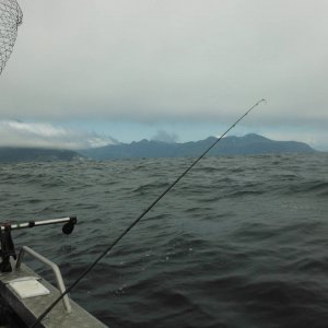 DSCF3751