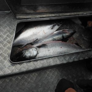 DSCF3780