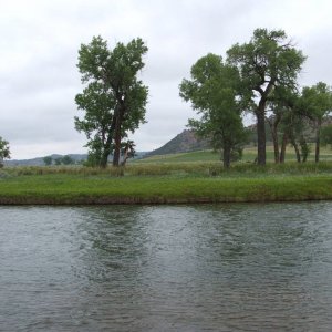 DSCF2629