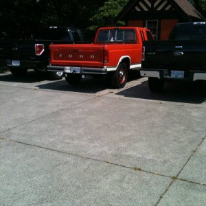 Old Orange 250