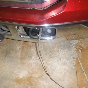DSCF3985