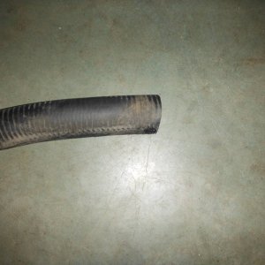 DSCF4047