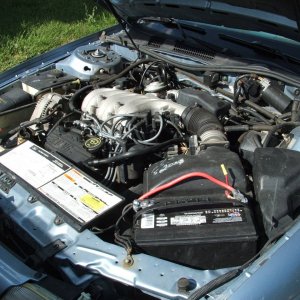 DSCF2677