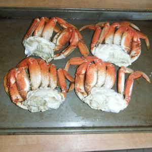 DSCF4221
