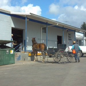 amish