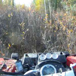 vlcsnap-2013-10-07-19h19m16s17
