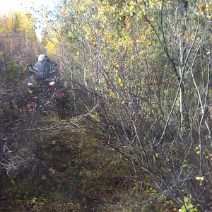 vlcsnap-2013-10-07-19h46m06s54