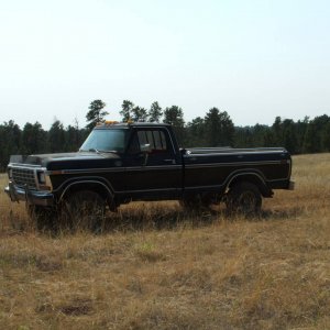 forest trip