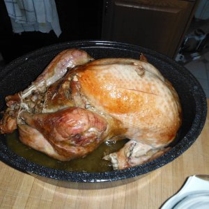 DSCF4907