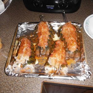 DSCF4953