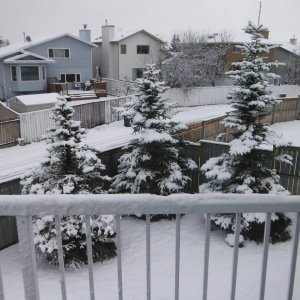 DSCF4983