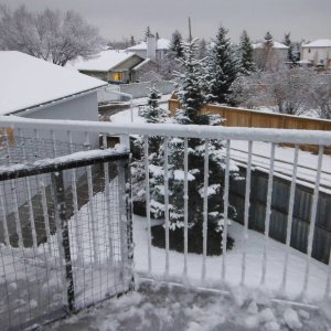 DSCF4984