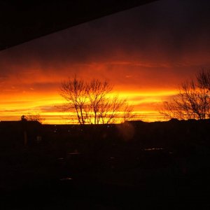 DSCF2749