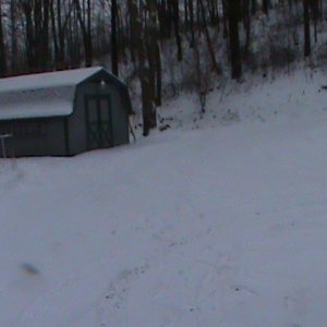 winter wonderland