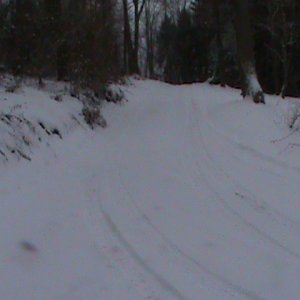 winter wonderland