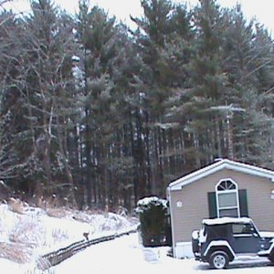 winter wonderland