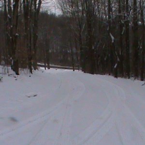 winter wonderland