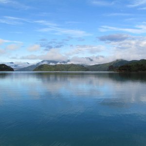 IMG_1531