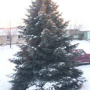 DSCF2794