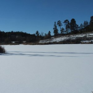DSCF2797