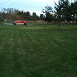 cutting_grass