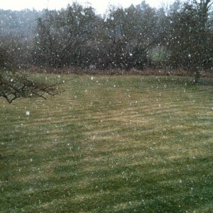 snow_flakes