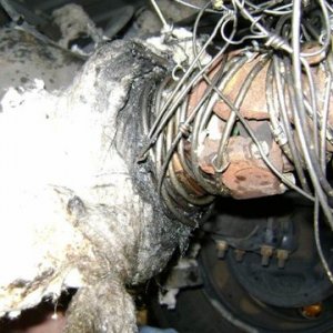 driveshaft_2